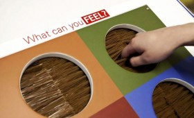 RSPB Interactive Display Unit