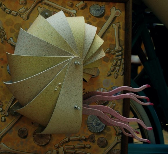 The Flying Reiver Nautilus automata